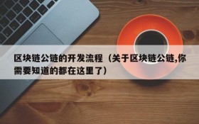 区块链公链的开发流程（关于区块链公链,你需要知道的都在这里了）