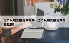 怎么玩加密猫游戏视频(怎么玩加密猫游戏视频教程)