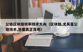 公链区块链效率技术方向(区块链,尤其是公链技术,想要真正落地)