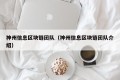 神州信息区块链团队（神州信息区块链团队介绍）