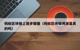 蚂蚁区块链上链步骤图(蚂蚁区块链溯源是真的吗)