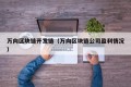 万向区块链开发链（万向区块链公司盈利情况）