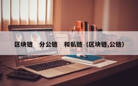 区块链 分公链 和私链(区块链,公链)