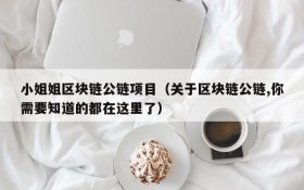 小姐姐区块链公链项目(关于区块链公链,你需要知道的都在这里了)