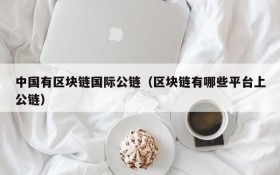 中国有区块链国际公链(区块链有哪些平台上公链)