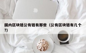 国内区块链公有链有那些(公有区块链有几个?)