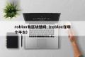 roblox有区块链吗（roblox在哪个平台）