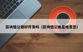 区块链公链好开发吗(区块链公链是啥意思)