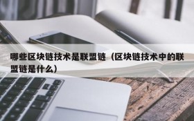 哪些区块链技术是联盟链（区块链技术中的联盟链是什么）