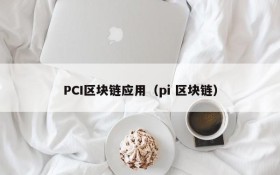 PCI区块链应用(pi 区块链)