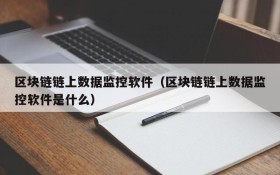 区块链链上数据监控软件(区块链链上数据监控软件是什么)
