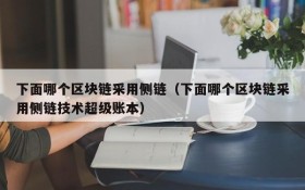 下面哪个区块链采用侧链（下面哪个区块链采用侧链技术超级账本）
