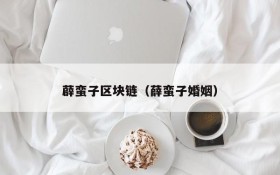 薜蛮子区块链(薛蛮子婚姻)