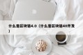 什么是区块链4.0（什么是区块链40开发）
