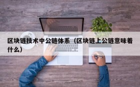 区块链技术中公链体系(区块链上公链意味着什么)