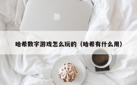 哈希数字游戏怎么玩的(哈希有什么用)