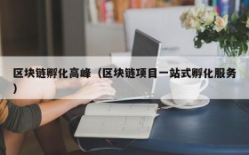区块链孵化高峰(区块链项目一站式孵化服务)