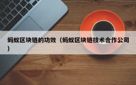 蚂蚁区块链的功效（蚂蚁区块链技术合作公司）
