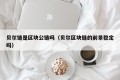 贝尔链是区块公链吗（贝尔区块链的前景稳定吗）