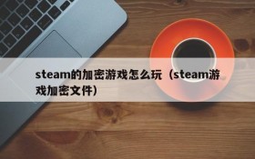 steam的加密游戏怎么玩(steam游戏加密文件)
