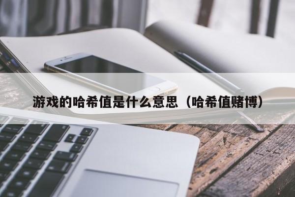 游戏的哈希值是什么意思（哈希值赌博）