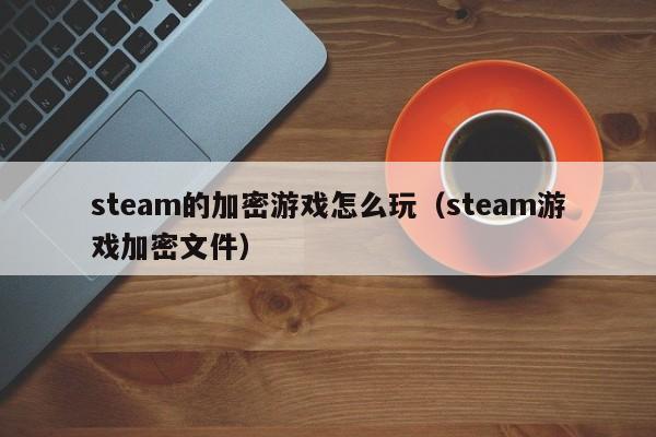 steam的加密游戏怎么玩（steam游戏加密文件）