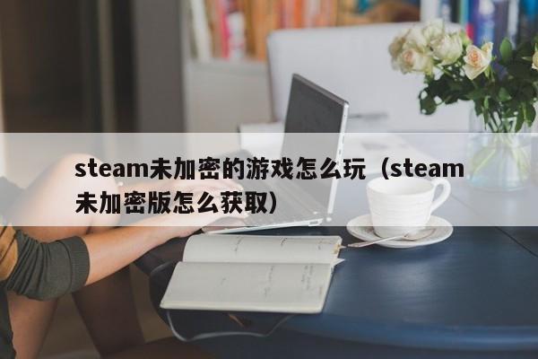 steam未加密的游戏怎么玩（steam未加密版怎么获取）