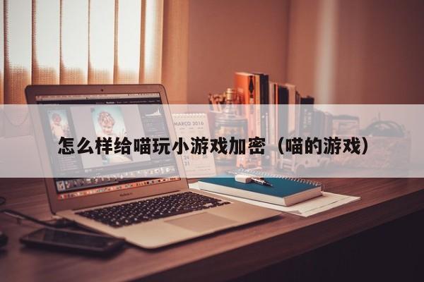 怎么样给喵玩小游戏加密（喵的游戏）