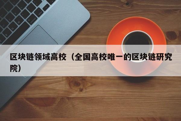 区块链领域高校（全国高校唯一的区块链研究院）