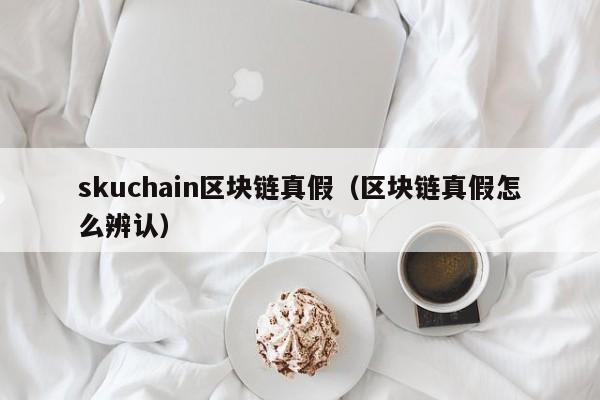 skuchain区块链真假（区块链真假怎么辨认）