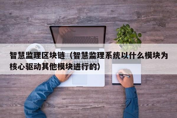 智慧监理区块链（智慧监理系统以什么模块为核心驱动其他模块进行的）