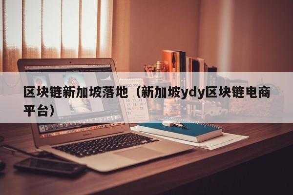 区块链新加坡落地（新加坡ydy区块链电商平台）