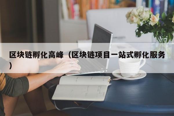 区块链孵化高峰（区块链项目一站式孵化服务）