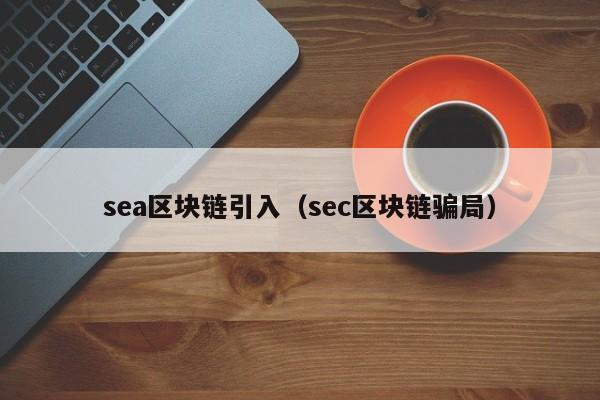sea区块链引入（sec区块链骗局）