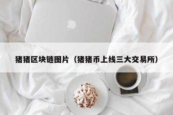 猪猪区块链图片（猪猪币上线三大交易所）