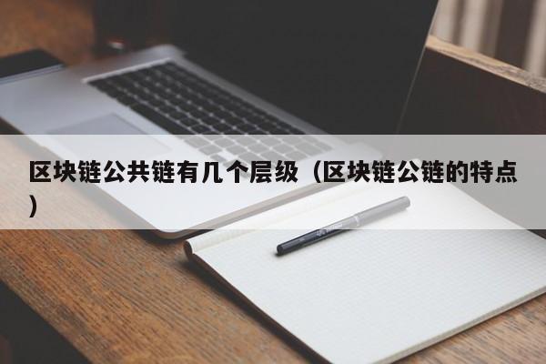 区块链公共链有几个层级（区块链公链的特点）