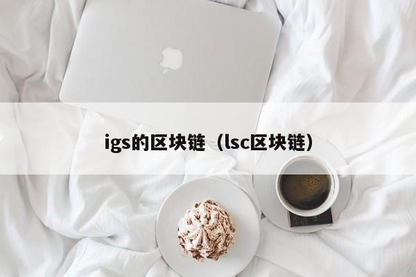 igs的区块链（lsc区块链）