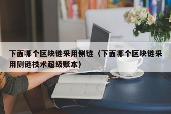 下面哪个区块链采用侧链（下面哪个区块链采用侧链技术超级账本）
