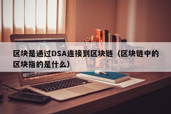 区块是通过DSA连接到区块链（区块链中的区块指的是什么）