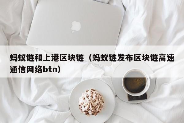 蚂蚁链和上港区块链（蚂蚁链发布区块链高速通信网络btn）
