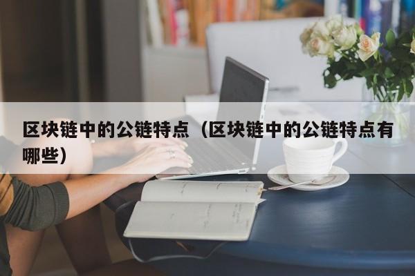 区块链中的公链特点（区块链中的公链特点有哪些）