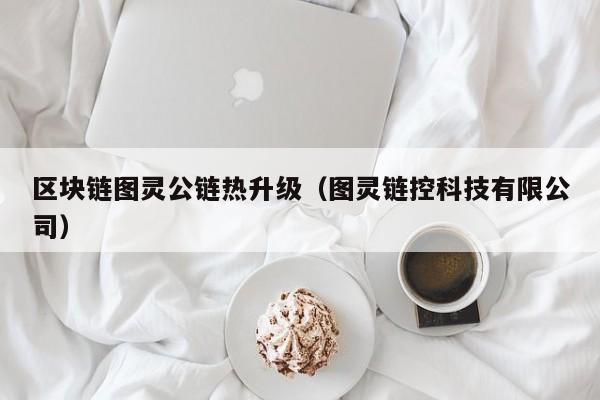 区块链图灵公链热升级（图灵链控科技有限公司）