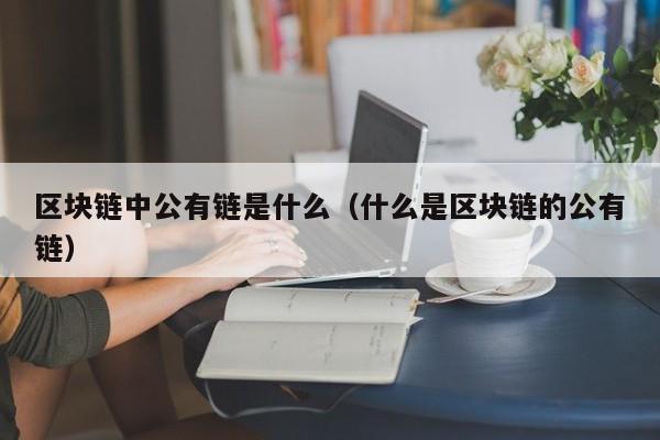 区块链中公有链是什么（什么是区块链的公有链）