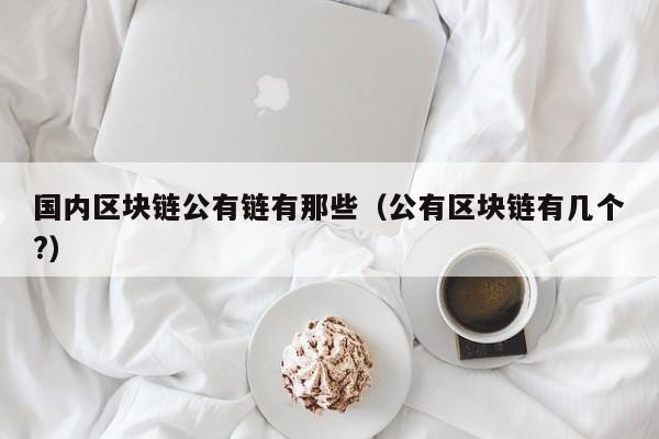 国内区块链公有链有那些（公有区块链有几个?）