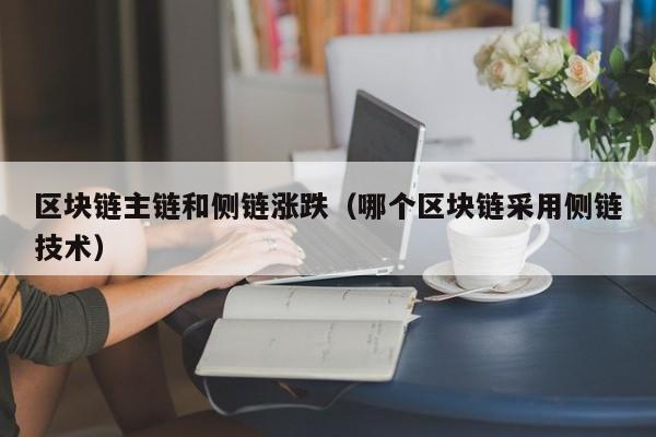 区块链主链和侧链涨跌（哪个区块链采用侧链技术）
