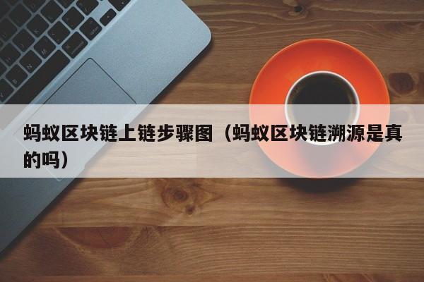 蚂蚁区块链上链步骤图（蚂蚁区块链溯源是真的吗）