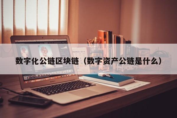 数字化公链区块链（数字资产公链是什么）