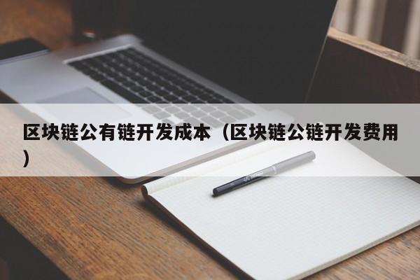 区块链公有链开发成本（区块链公链开发费用）