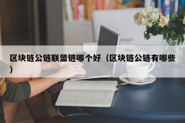 区块链公链联盟链哪个好（区块链公链有哪些）