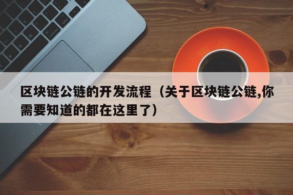 区块链公链的开发流程（关于区块链公链,你需要知道的都在这里了）